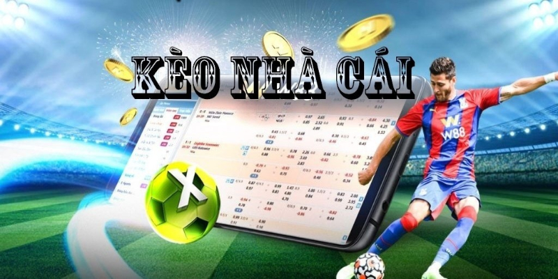 Giải Mã Kèo Nhà Cái Chi Tiết Cho Người Mới Bắt Đầu