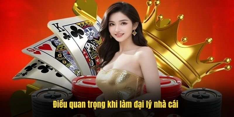 Cơ hội hợp tác linh hoạt cho mọi đối tượng